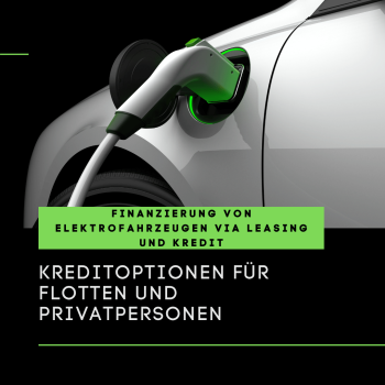 Finanzierung von Elektrofahrzeugen via Leasing und Kredit: Kreditoptionen für Flotten und Privatpersonen